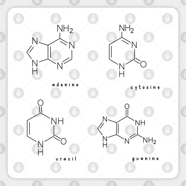 Hand Drawn RNA Ribonucleic Acid Pack Magnet by Sofia Sava